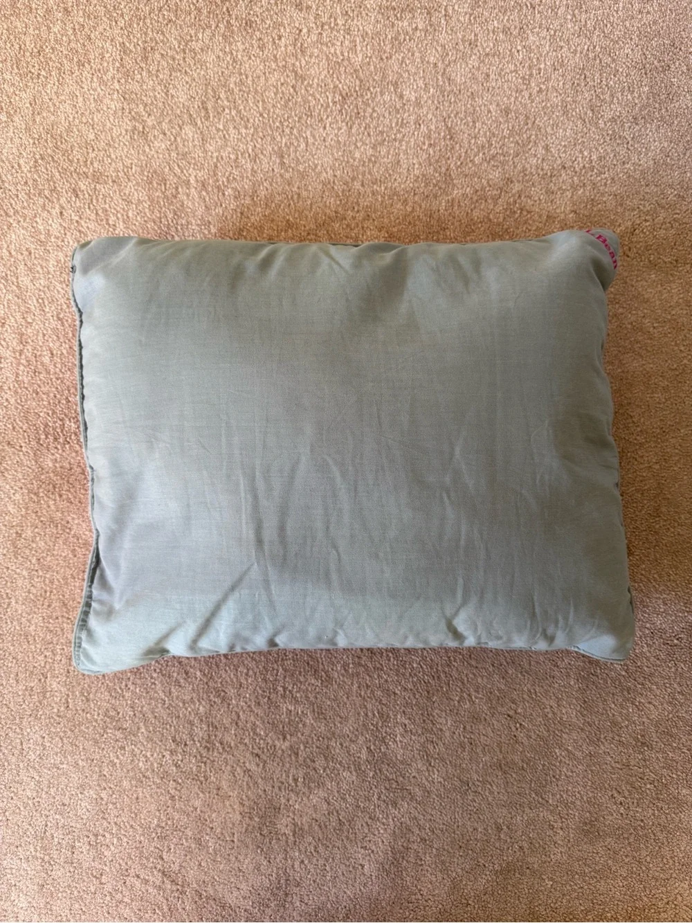 L.L. Bean Camping Pillow